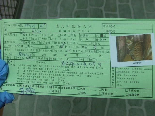 圖檔