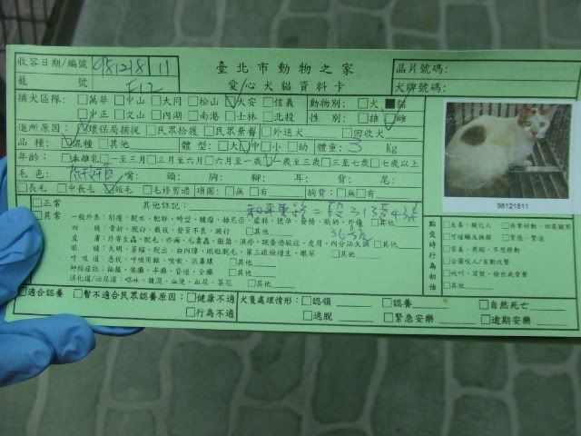 圖檔
