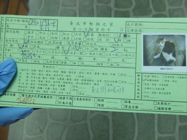 圖檔