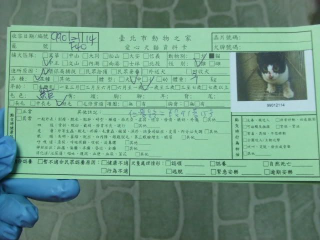圖檔
