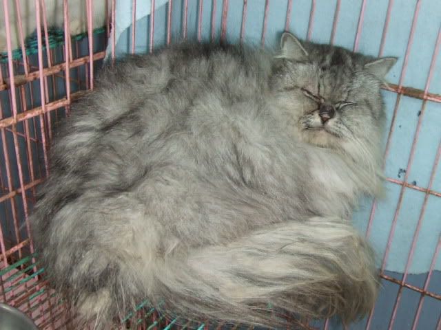 圖檔