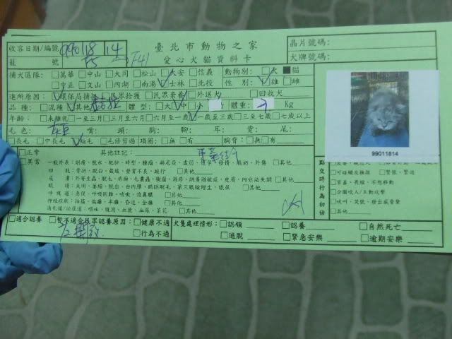 圖檔