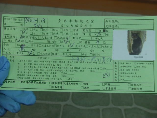 圖檔