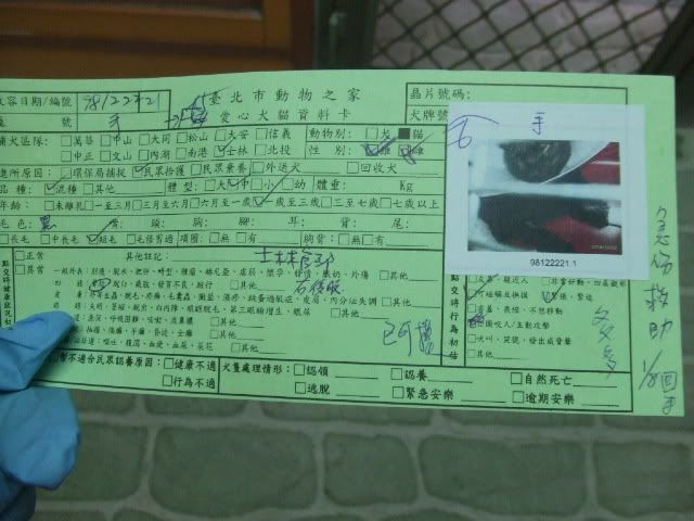 圖檔