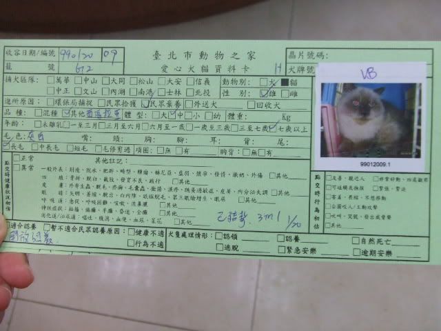 圖檔