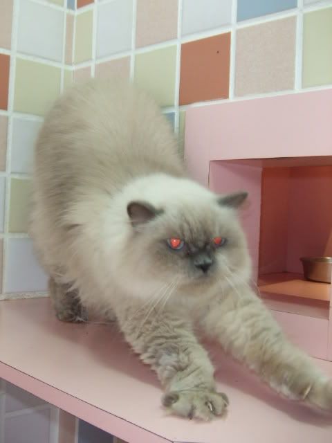 圖檔
