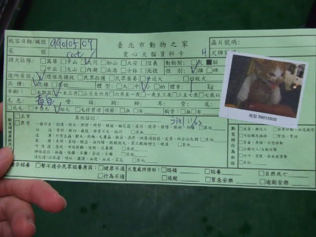 圖檔