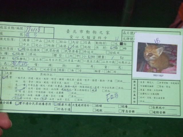 圖檔
