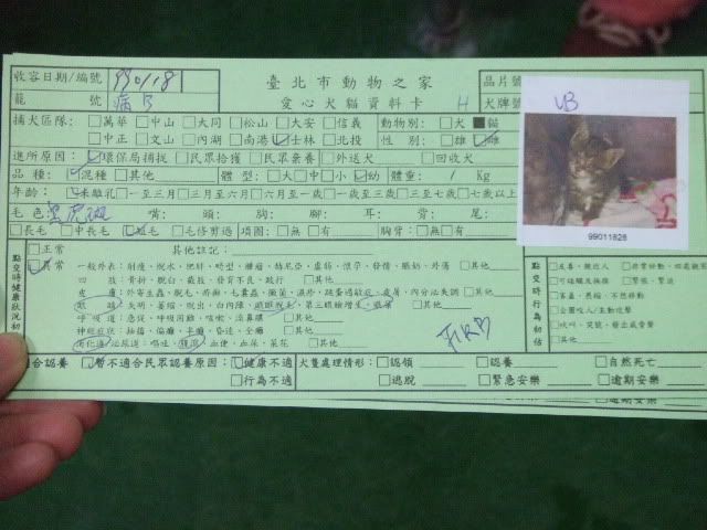 圖檔