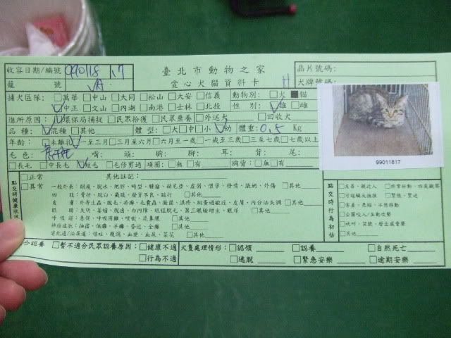 圖檔