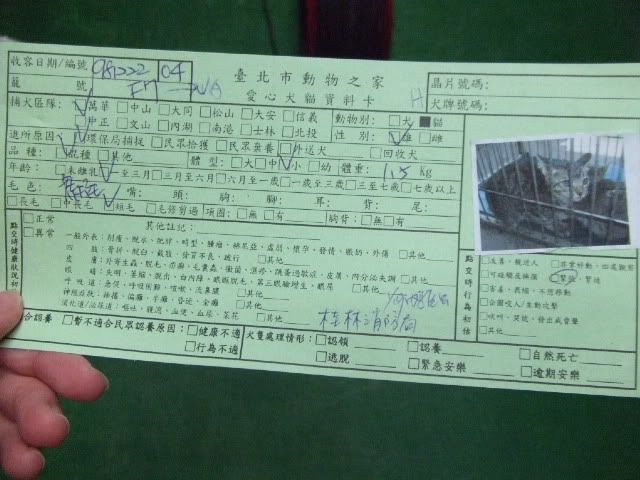 圖檔