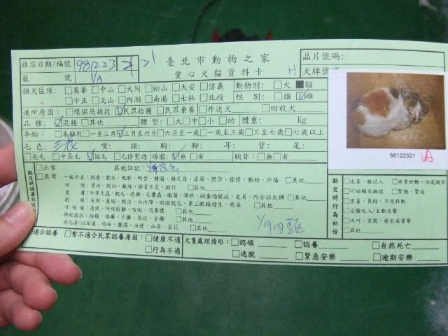 圖檔