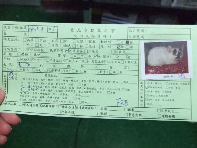圖檔