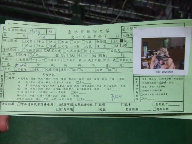 圖檔