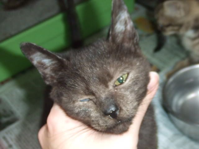 圖檔