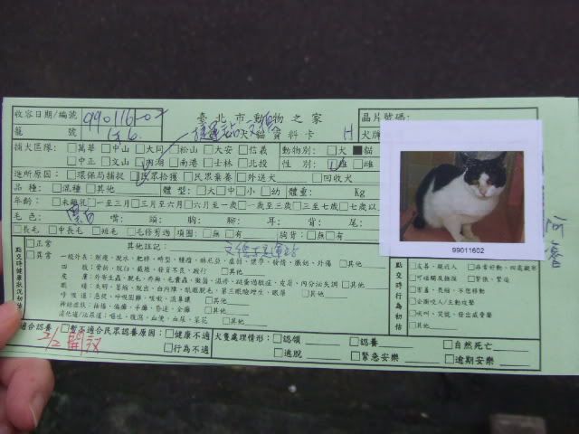 圖檔