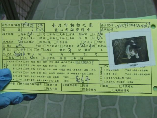 圖檔