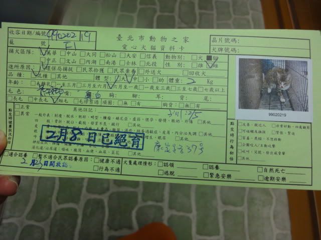 圖檔
