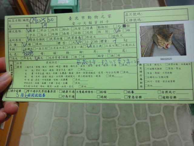 圖檔