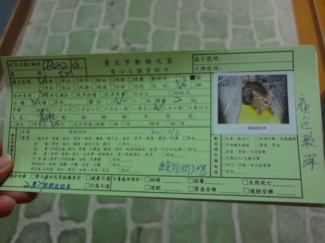 圖檔