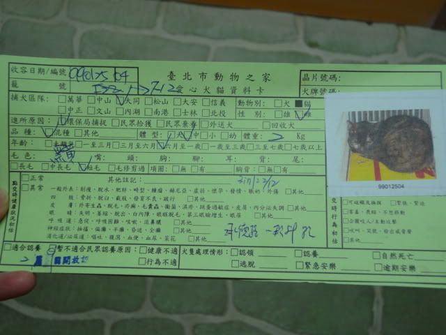 圖檔