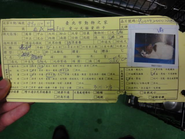 圖檔