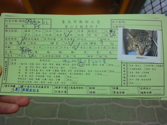 圖檔