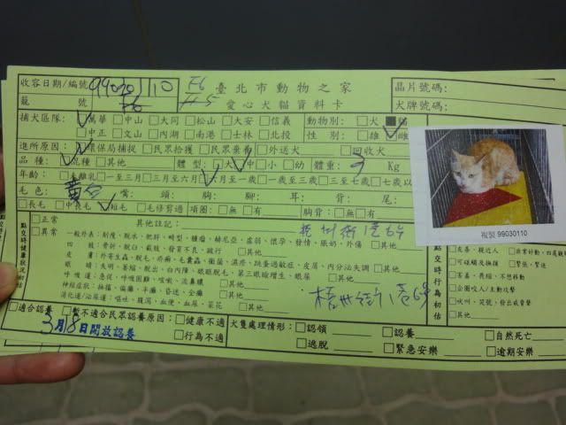 圖檔