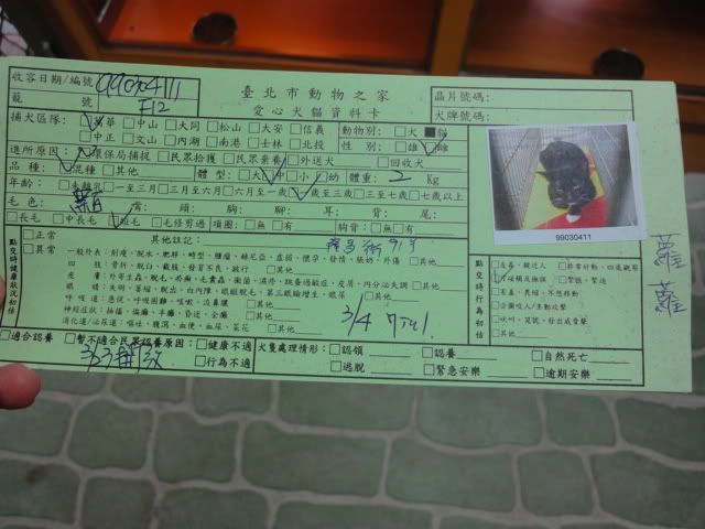 圖檔