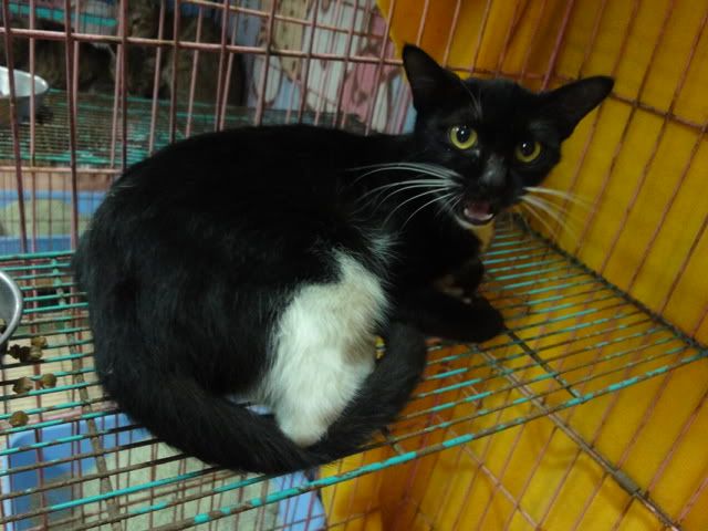 圖檔