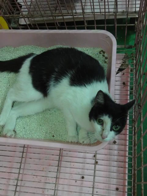 圖檔