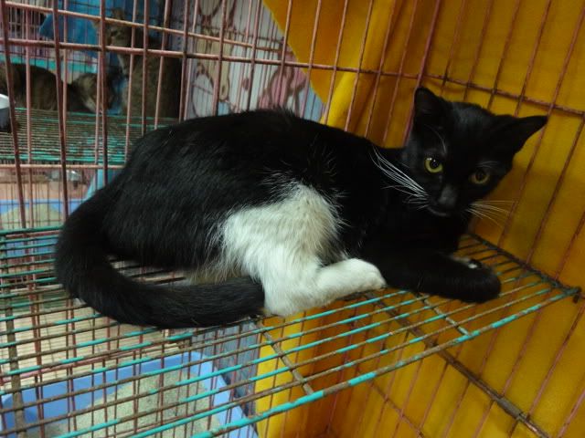圖檔