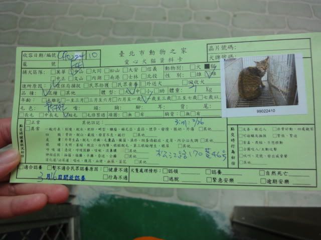 圖檔