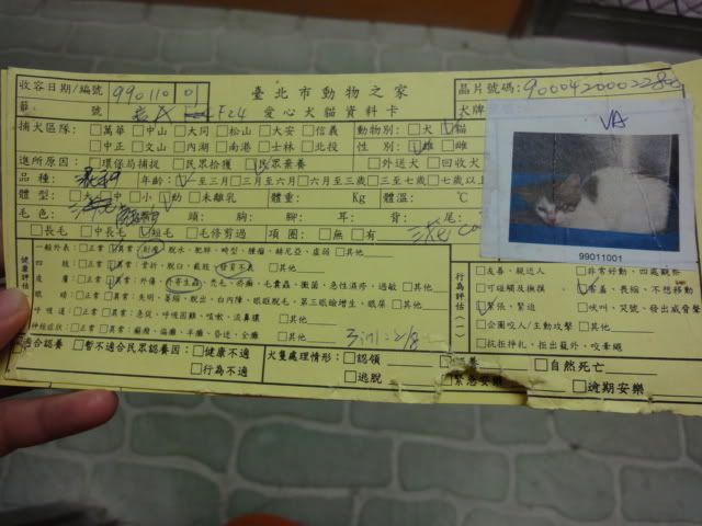 圖檔
