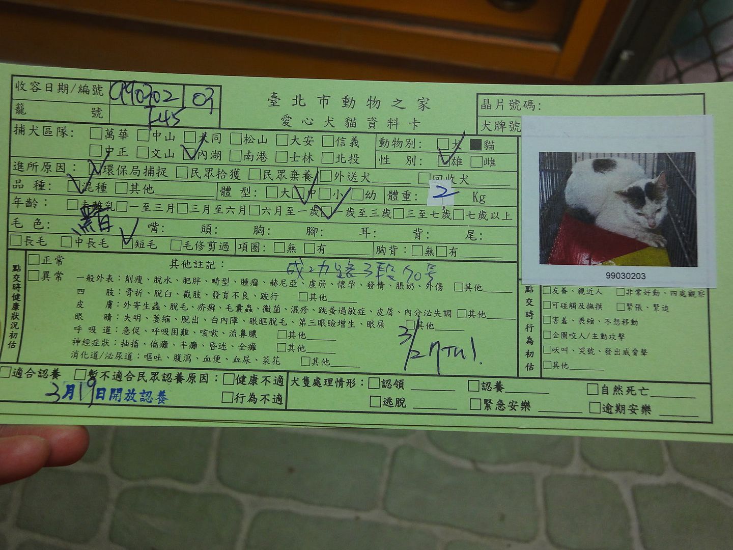 圖檔