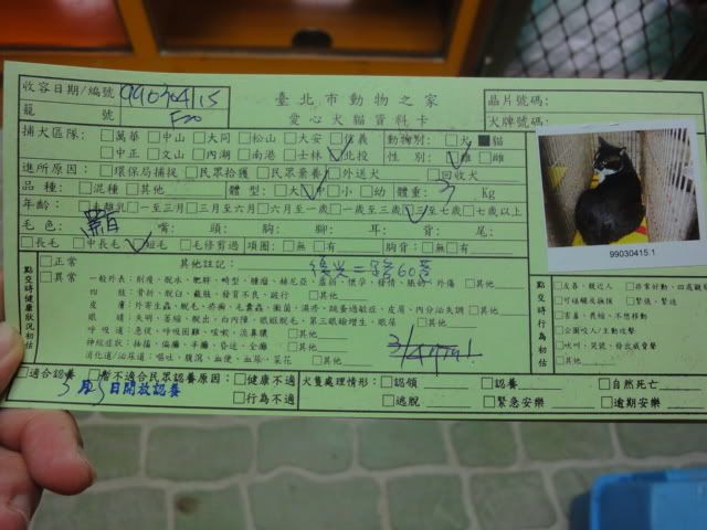 圖檔