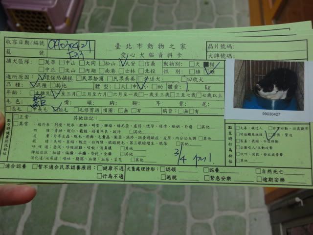圖檔