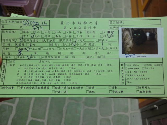 圖檔