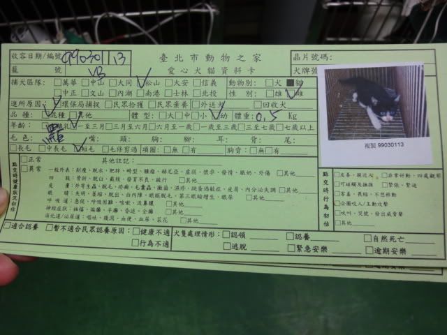 圖檔
