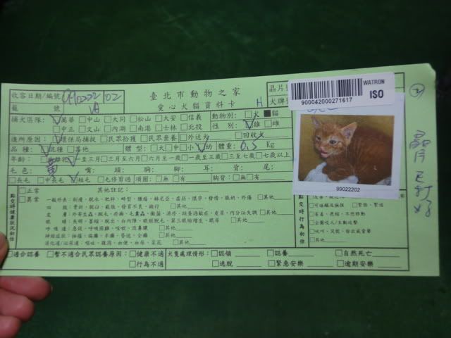 圖檔