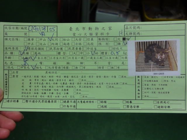 圖檔