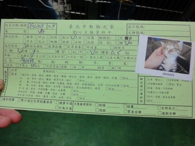 圖檔