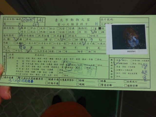 圖檔