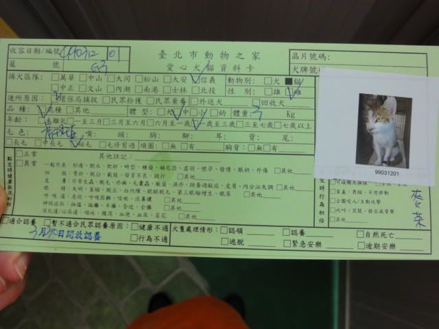 圖檔