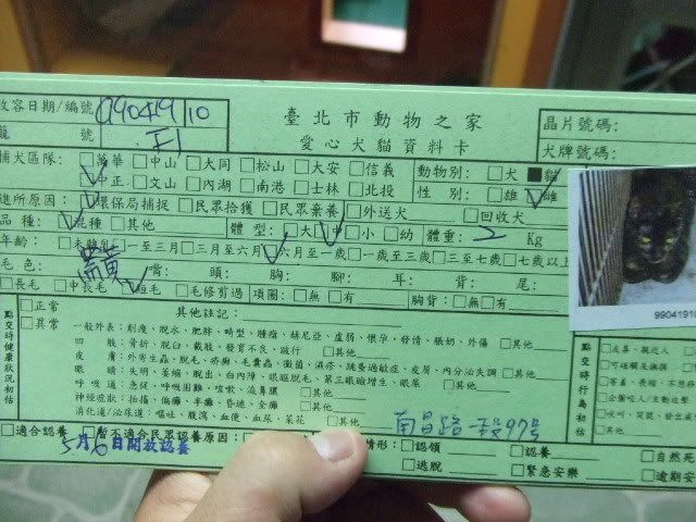 圖檔