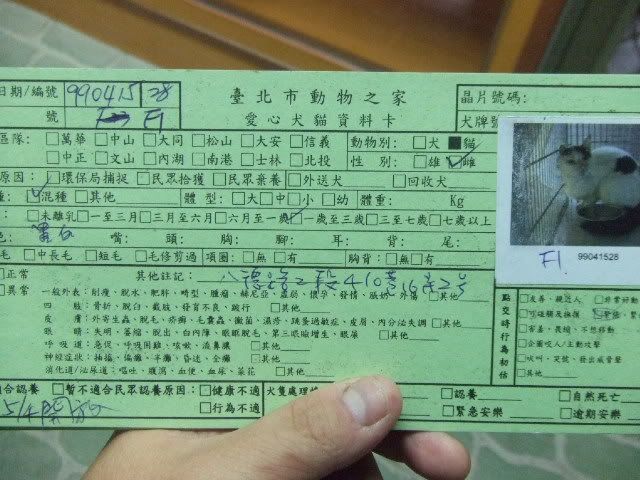 圖檔