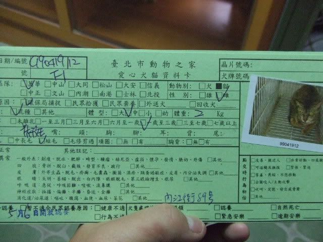 圖檔
