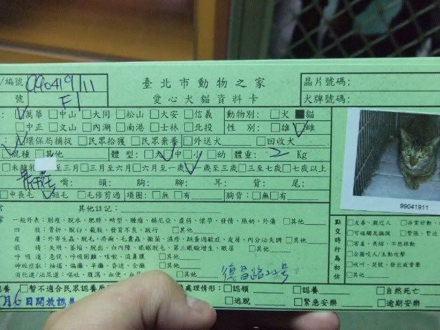 圖檔