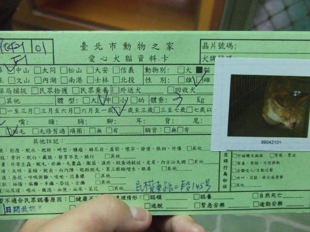 圖檔