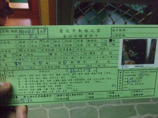 圖檔